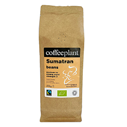 Sumatra Organic Fairtrade 250g Coffee Beans in Valve Pack