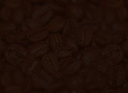 Coffee Plant, photo 4